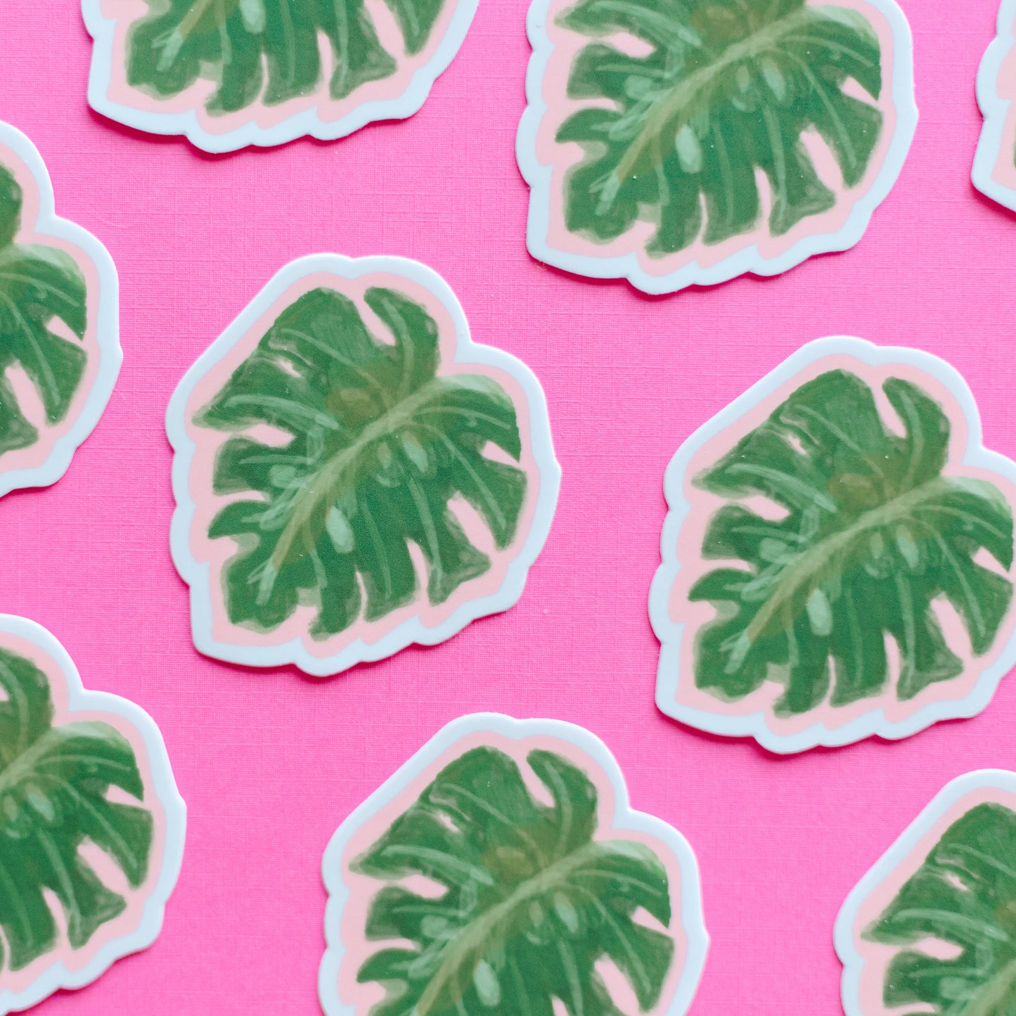 Monstera Sticker