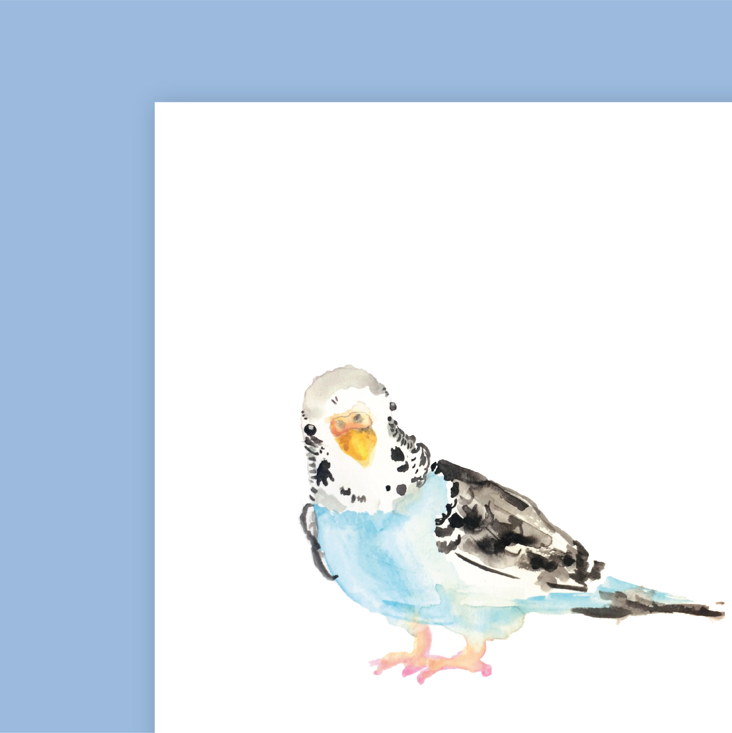 Budgie Buddy