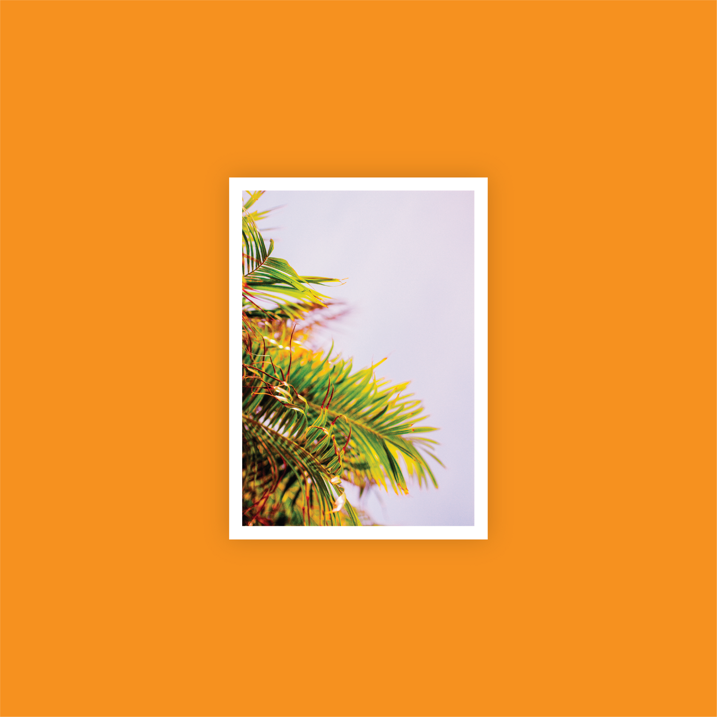 Frond or Foe Print