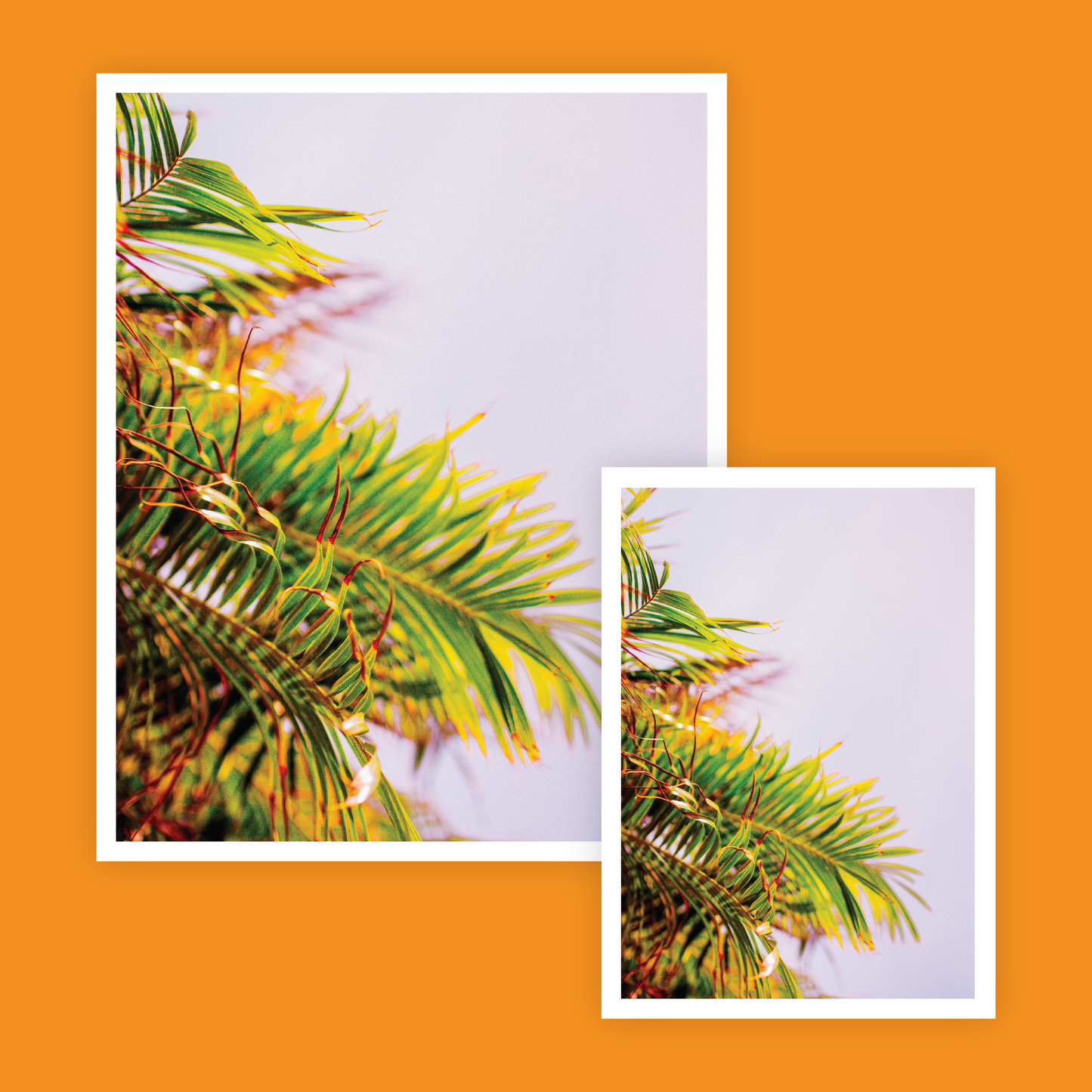 Frond or Foe Print