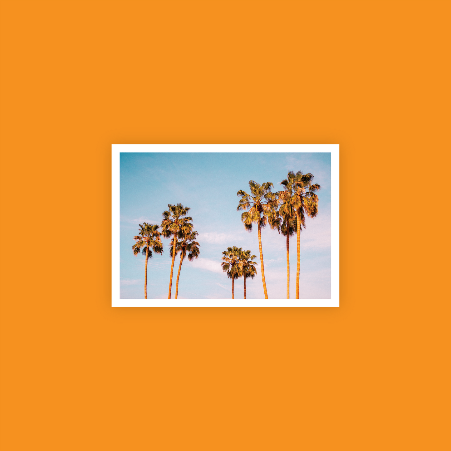 Palm Dessert Print