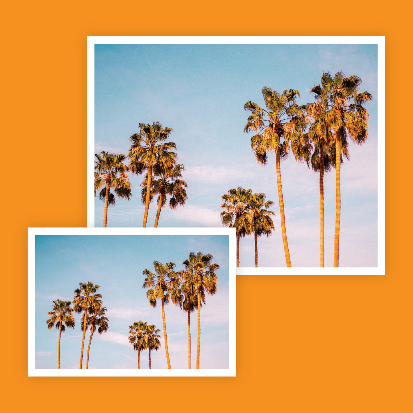 Palm Dessert Print