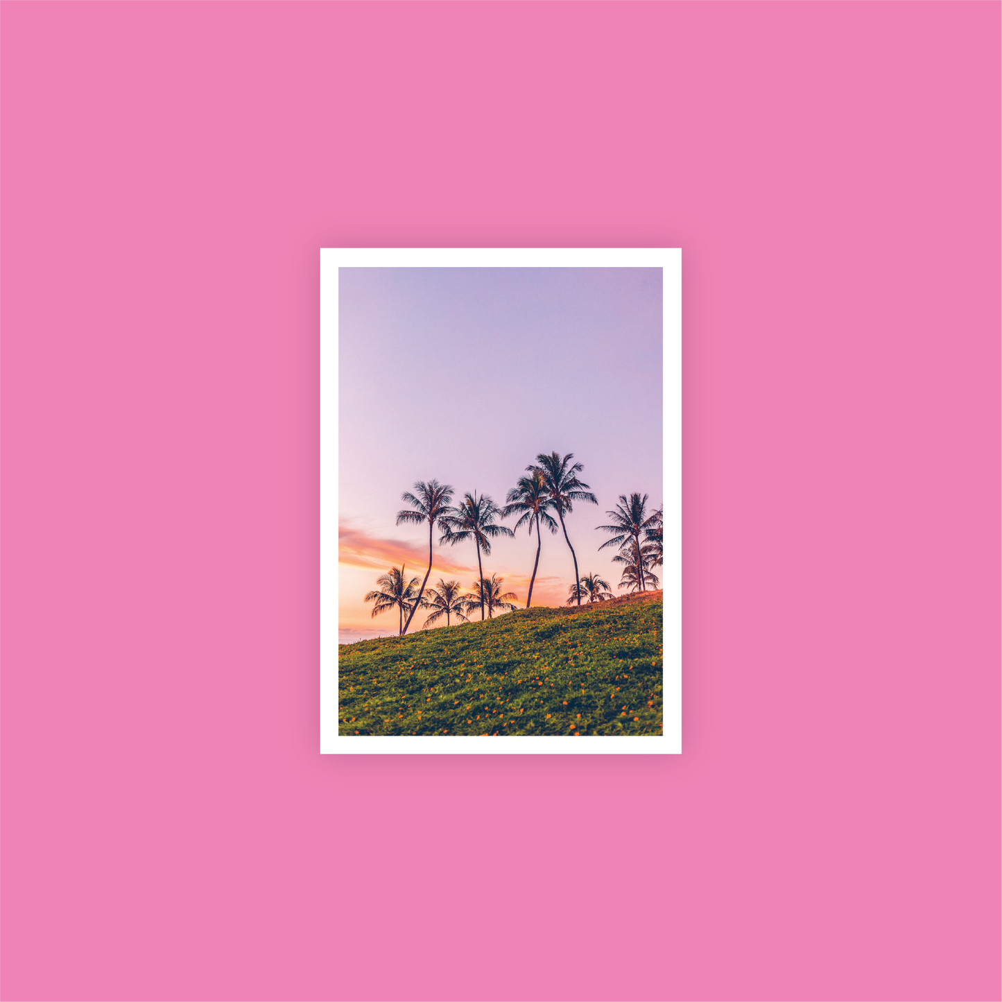 Beach Palms Print