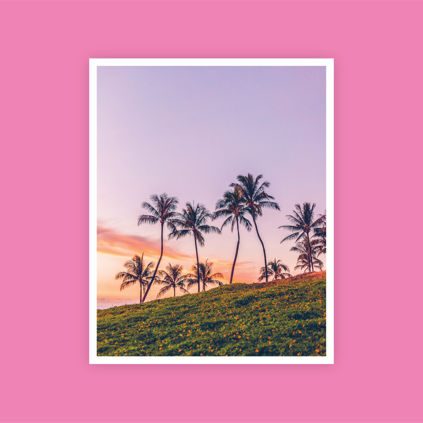 Beach Palms Print