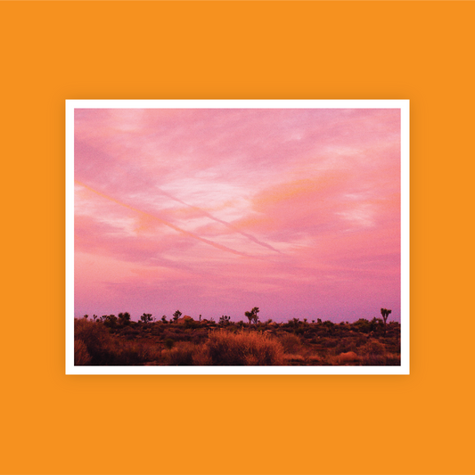 Joshua Tree at Night Print